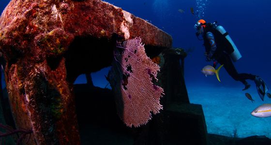 Papa doc wreck gran bahama diving